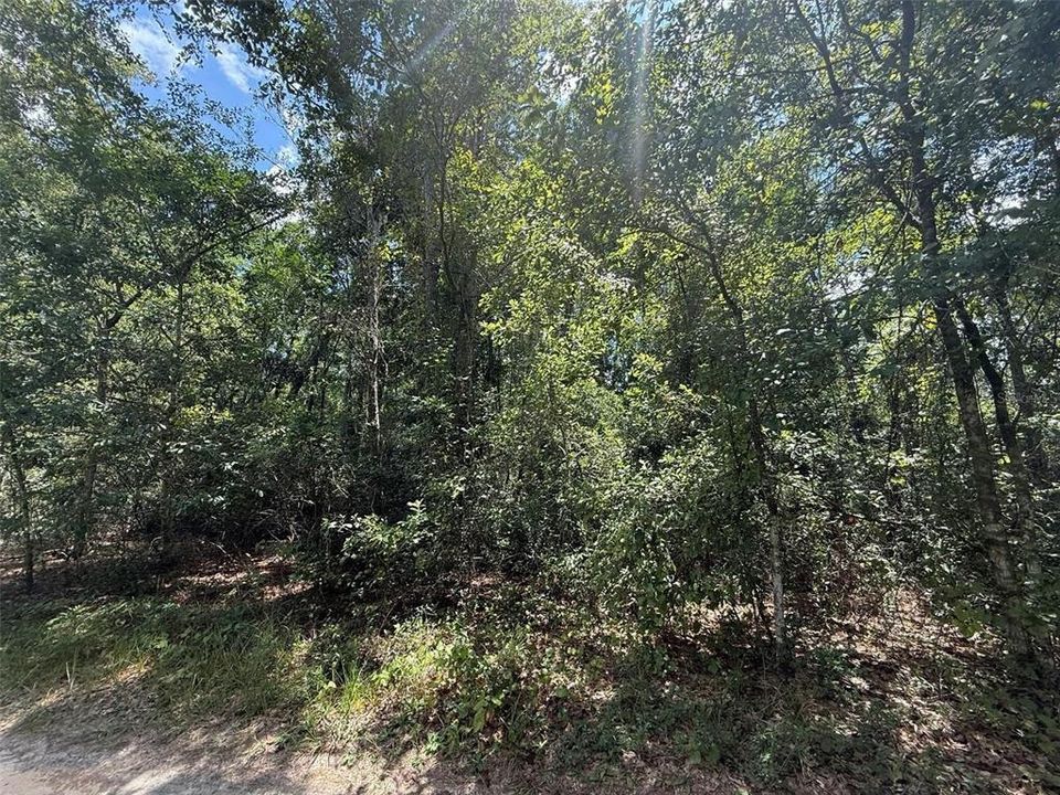 En Venta: $7,800 (0.34 acres)