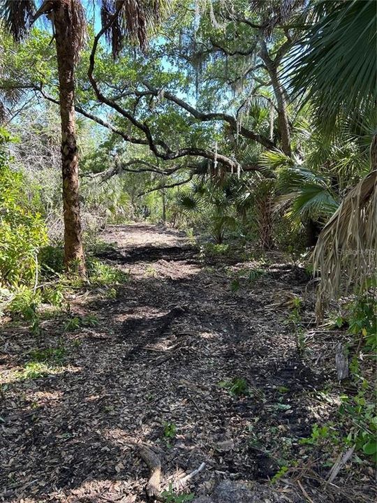 待售: $159,000 (2.79 acres)