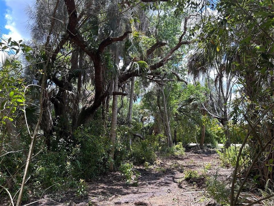 待售: $159,000 (2.79 acres)