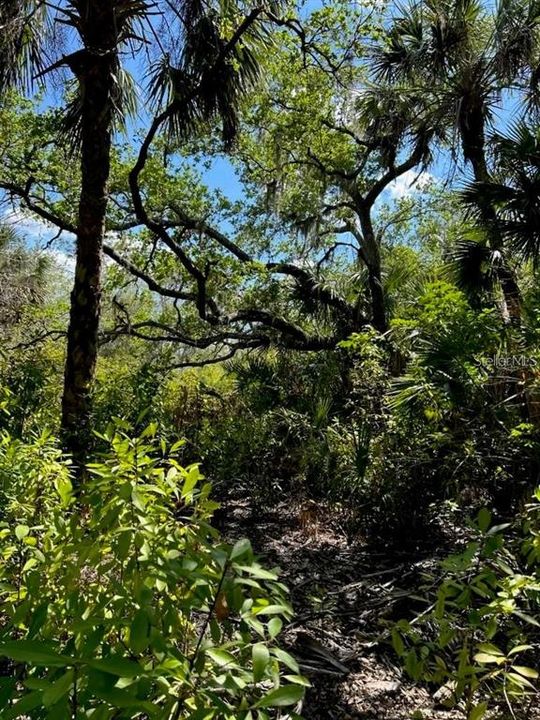 待售: $159,000 (2.79 acres)