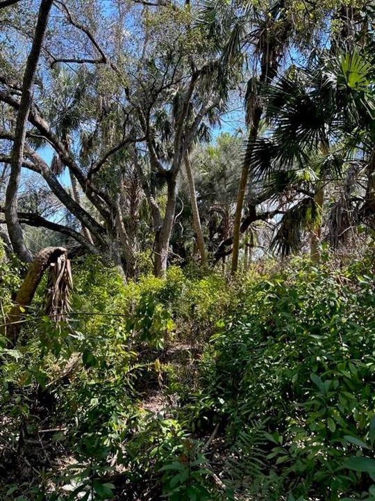 待售: $159,000 (2.79 acres)