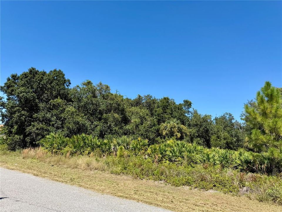 For Sale: $22,500 (0.25 acres)