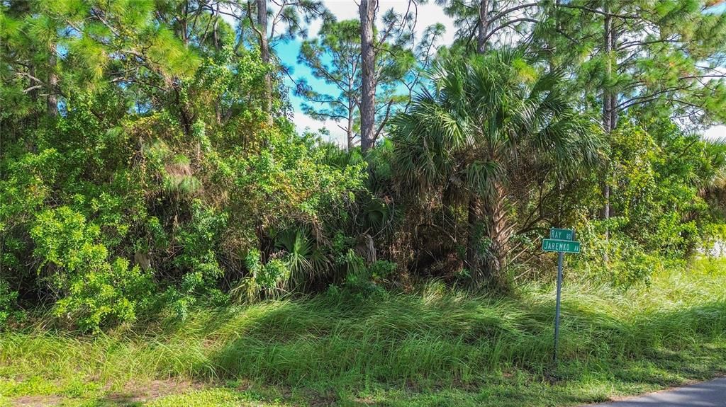 На продажу: $49,900 (0.21 acres)
