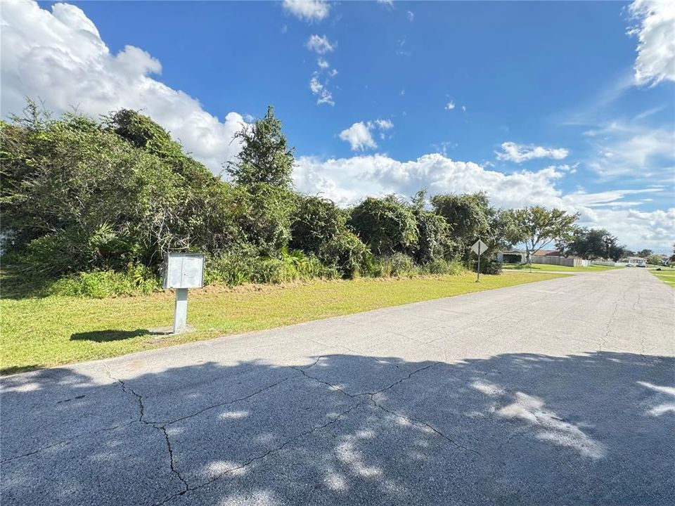 For Sale: $60,000 (0.25 acres)