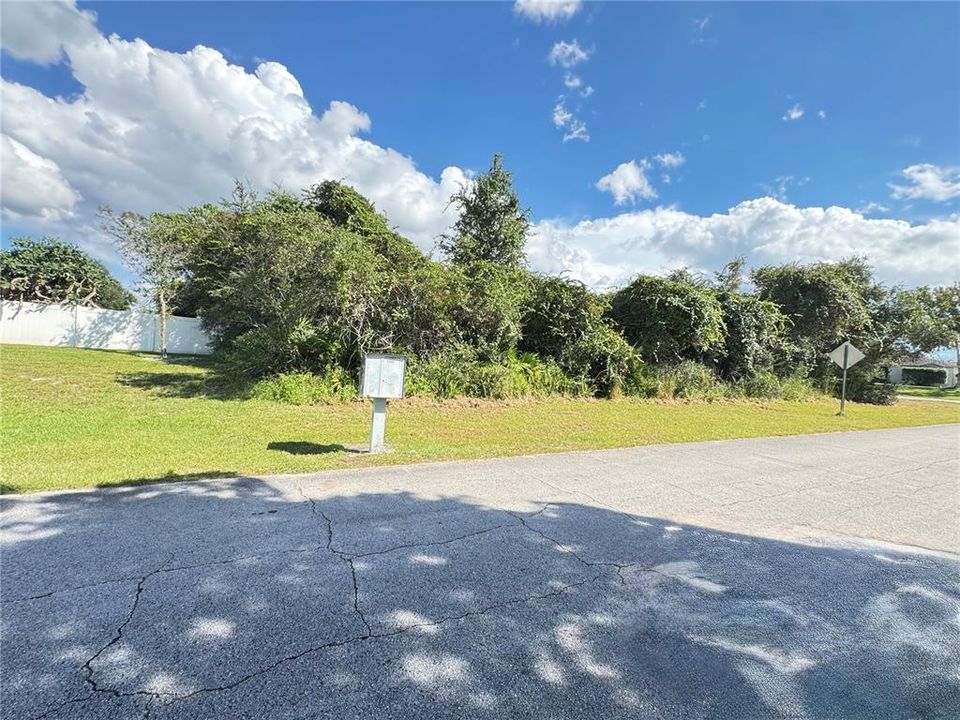 For Sale: $60,000 (0.25 acres)