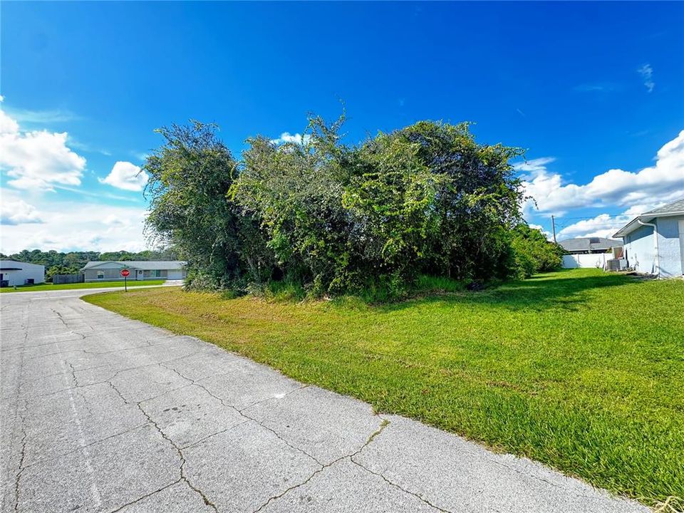 For Sale: $60,000 (0.25 acres)