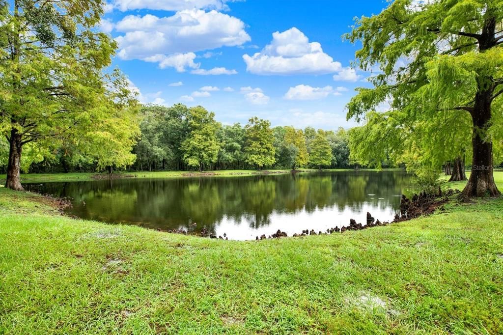 For Sale: $247,000 (1 beds, 1 baths, 1030 Square Feet)