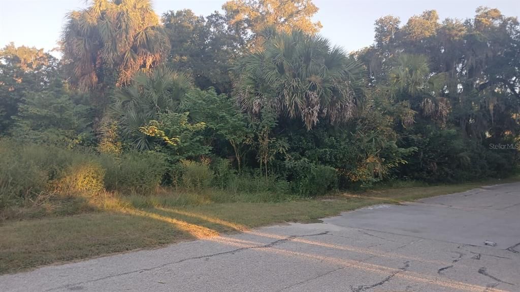 待售: $22,900 (0.08 acres)