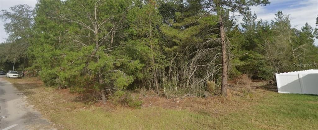 For Sale: $24,000 (0.23 acres)