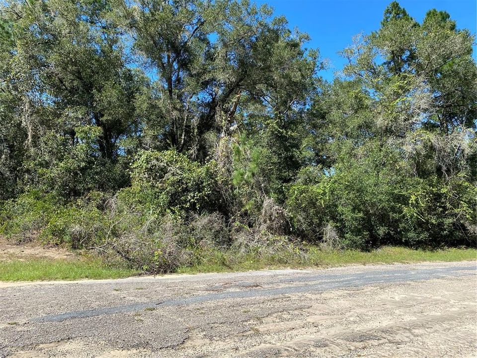 For Sale: $20,000 (0.38 acres)