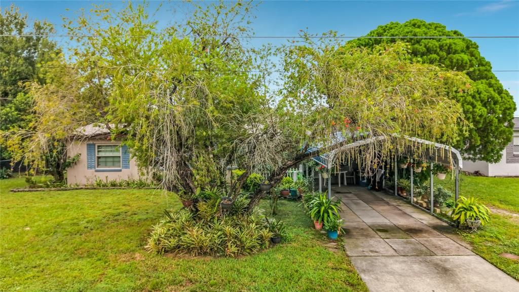 На продажу: $374,900 (4 спален, 2 ванн, 1649 Квадратных фут)