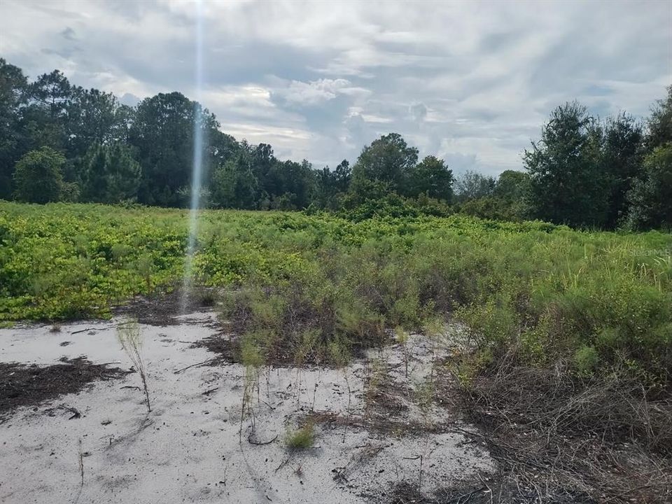 待售: $65,000 (1.77 acres)