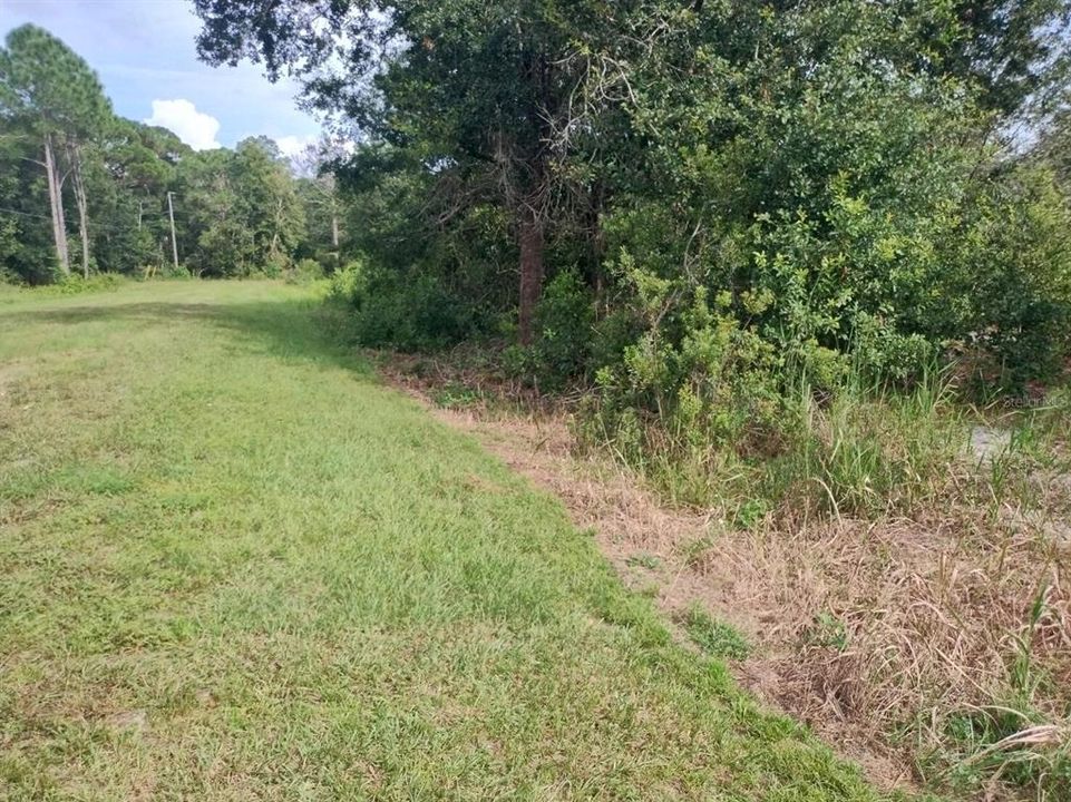 待售: $65,000 (1.77 acres)