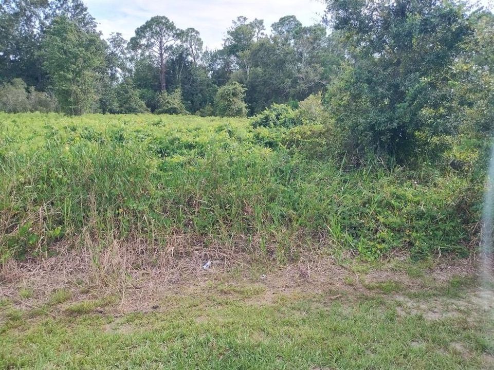 待售: $65,000 (1.77 acres)