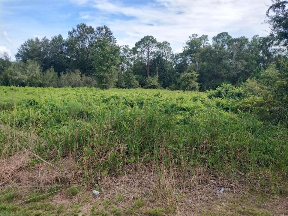 待售: $65,000 (1.77 acres)