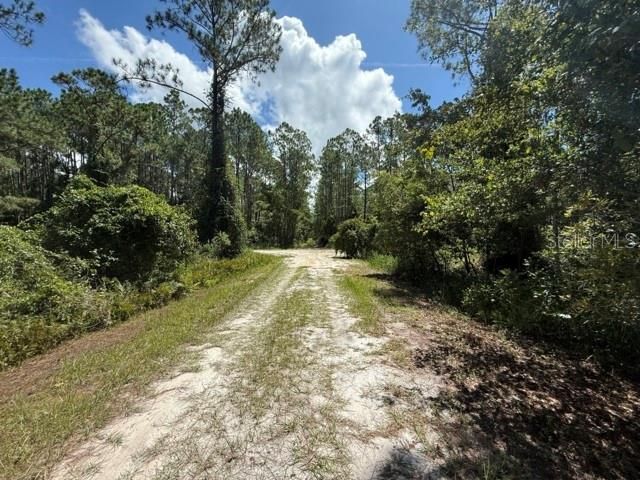 待售: $10,100 (0.23 acres)