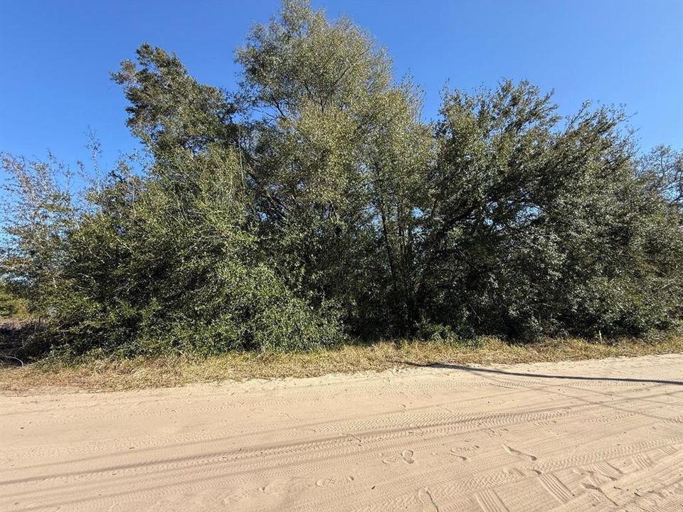 For Sale: $32,000 (0.23 acres)