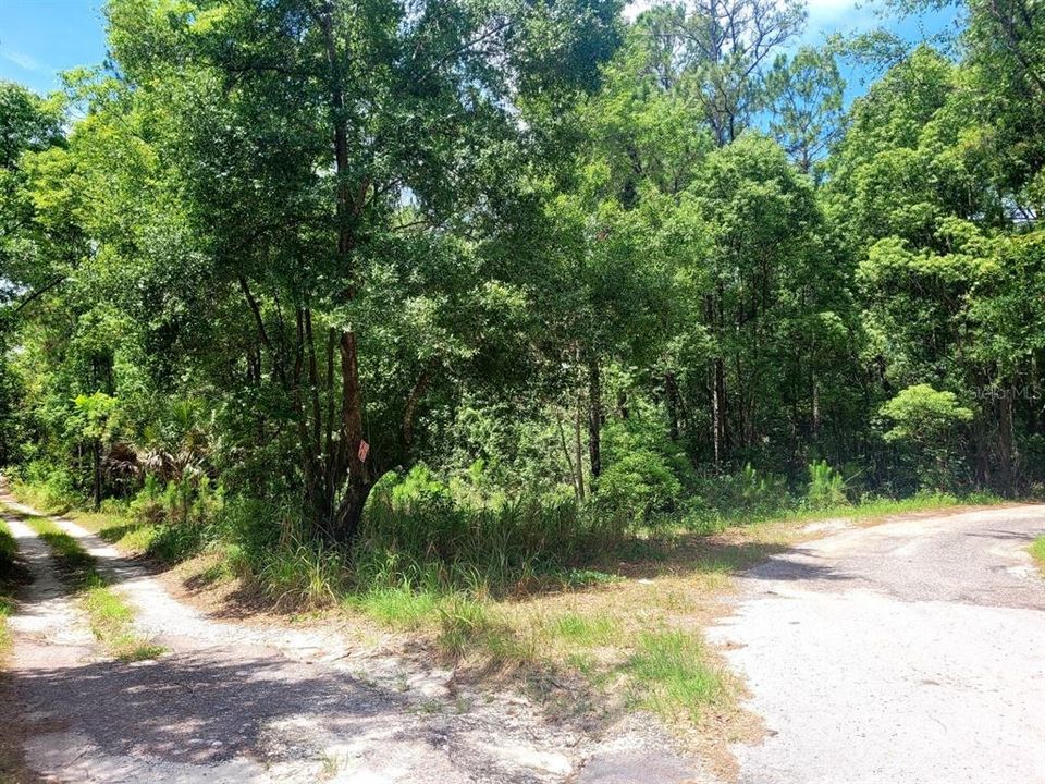 En Venta: $150,000 (2.94 acres)