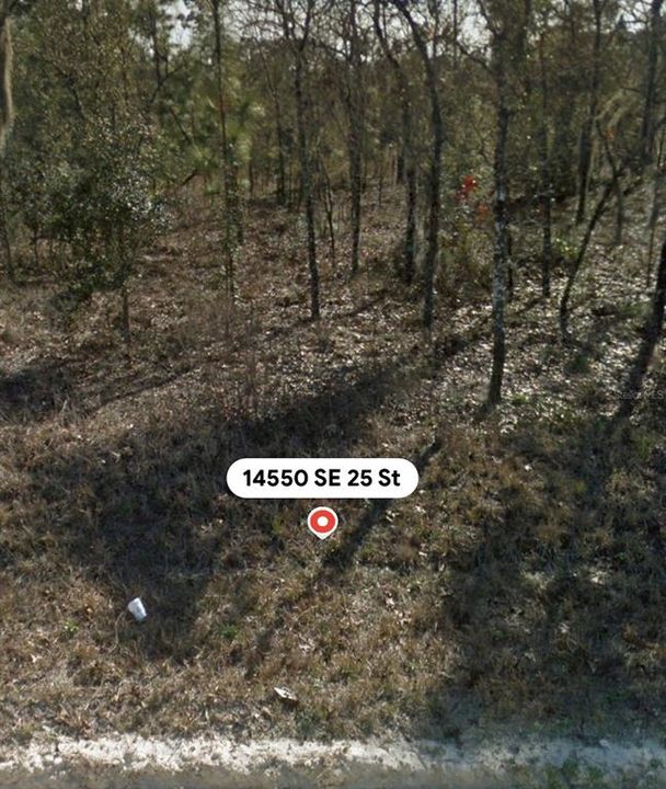 For Sale: $27,995 (1.25 acres)
