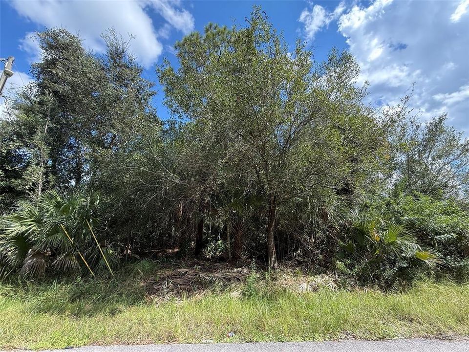 En Venta: $20,700 (0.26 acres)