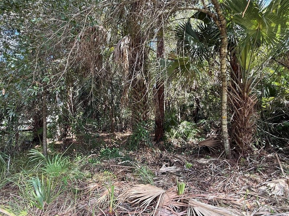En Venta: $20,700 (0.26 acres)