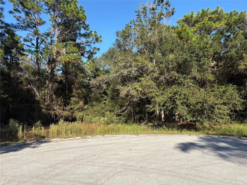 En Venta: $125,000 (1.93 acres)