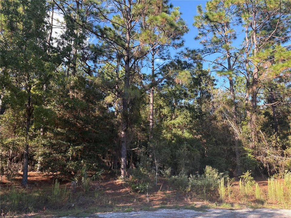 En Venta: $125,000 (1.93 acres)