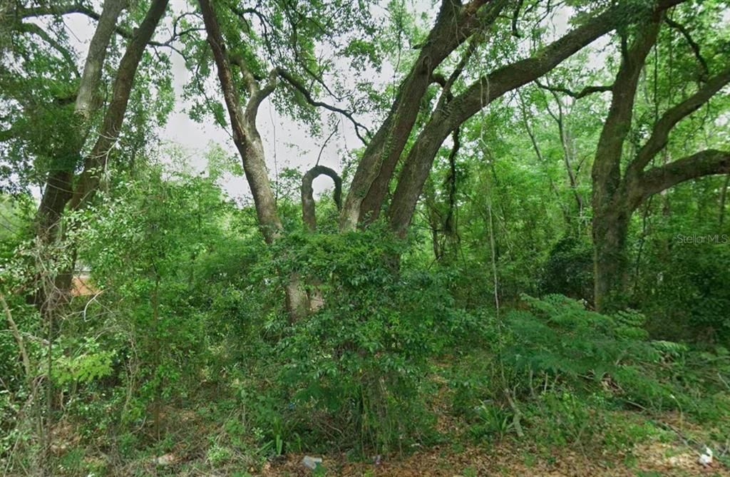 На продажу: $19,950 (0.19 acres)