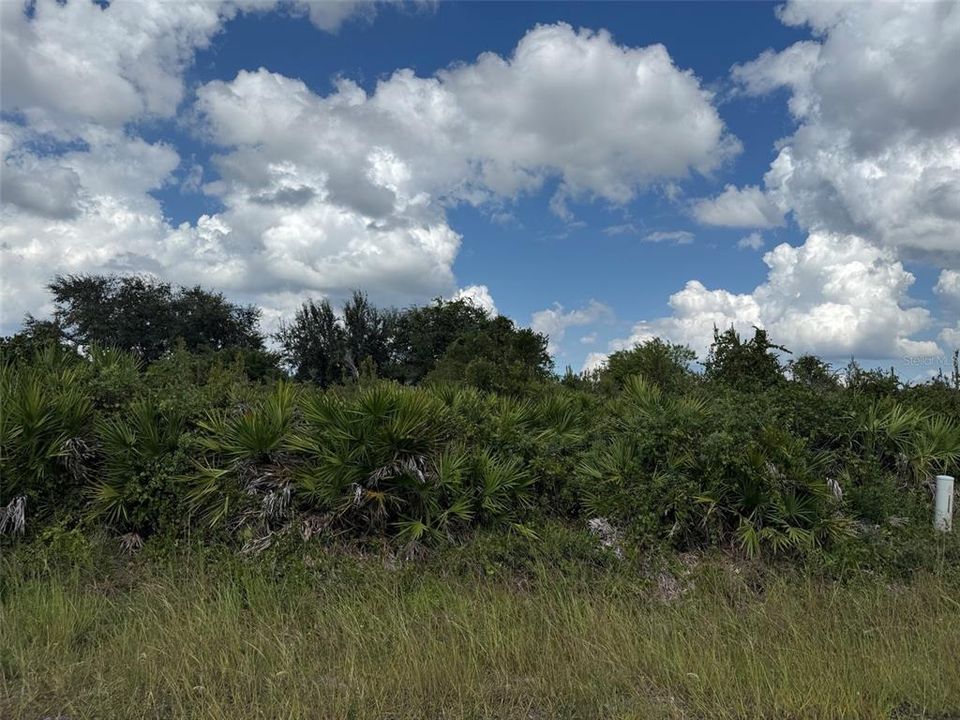 待售: $23,900 (0.25 acres)