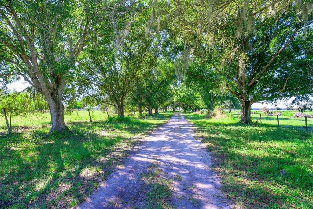 待售: $1,100,000 (20.00 acres)