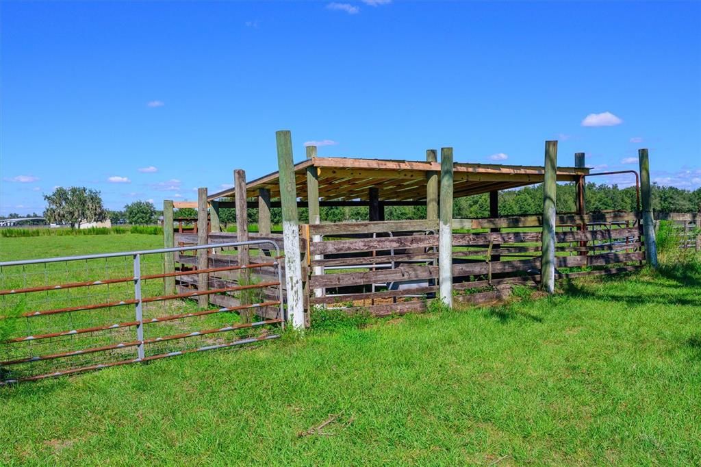 待售: $1,100,000 (20.00 acres)