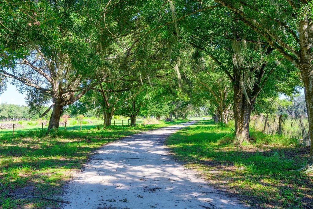 待售: $1,100,000 (20.00 acres)