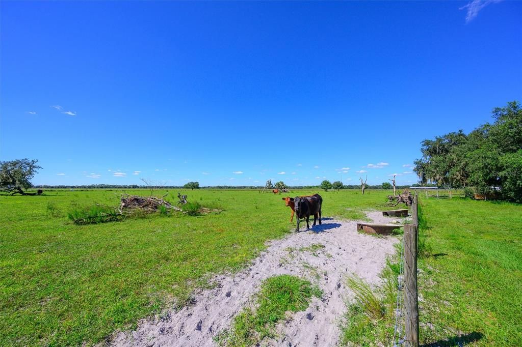 待售: $1,100,000 (20.00 acres)