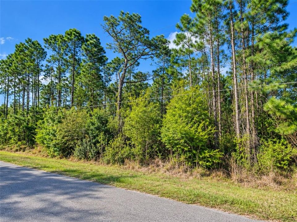 En Venta: $145,000 (2.31 acres)