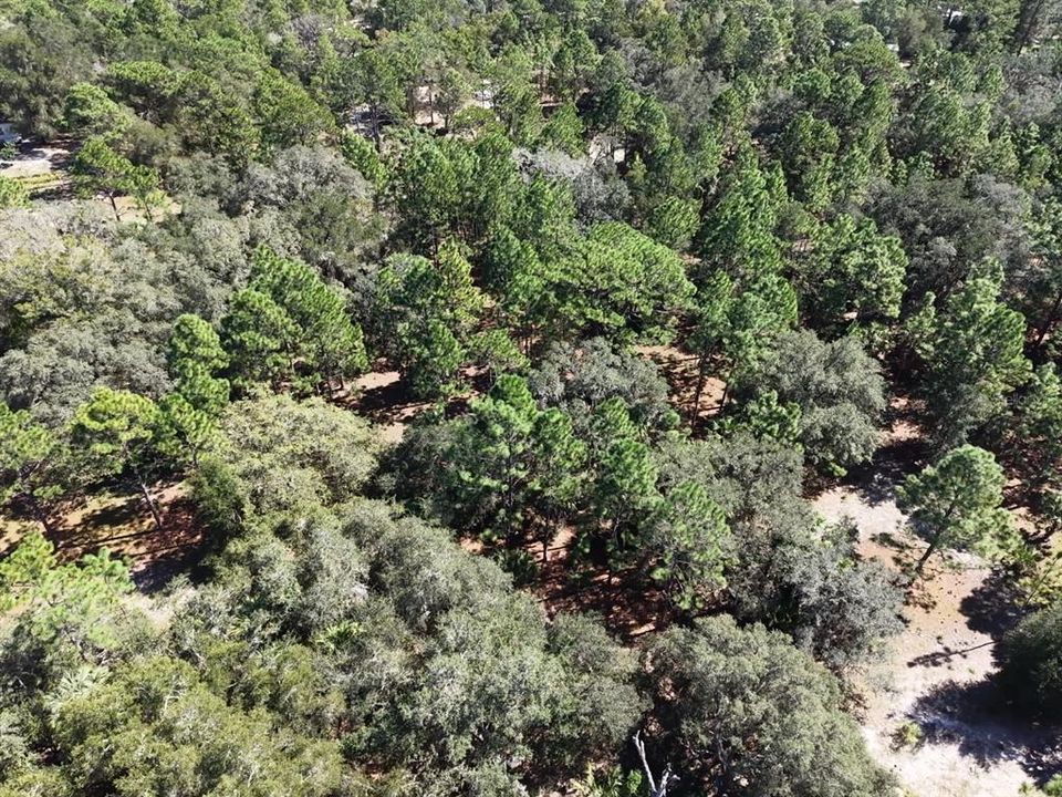 For Sale: $124,900 (2.02 acres)