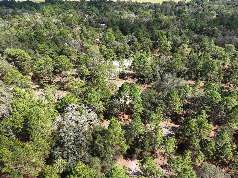 For Sale: $124,900 (2.02 acres)