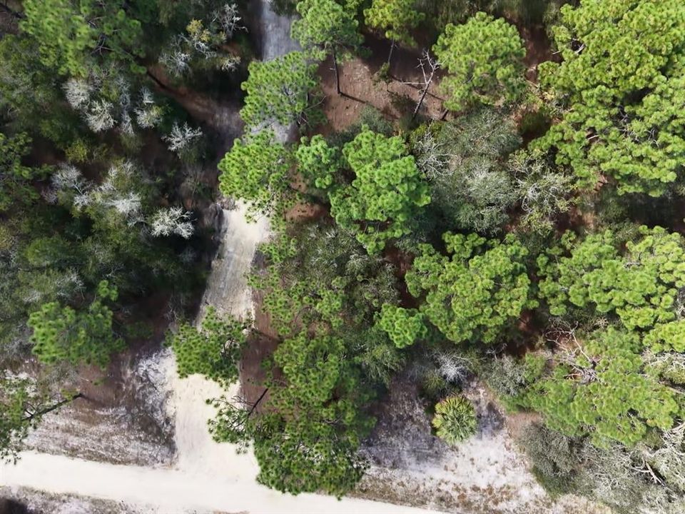 For Sale: $124,900 (2.02 acres)