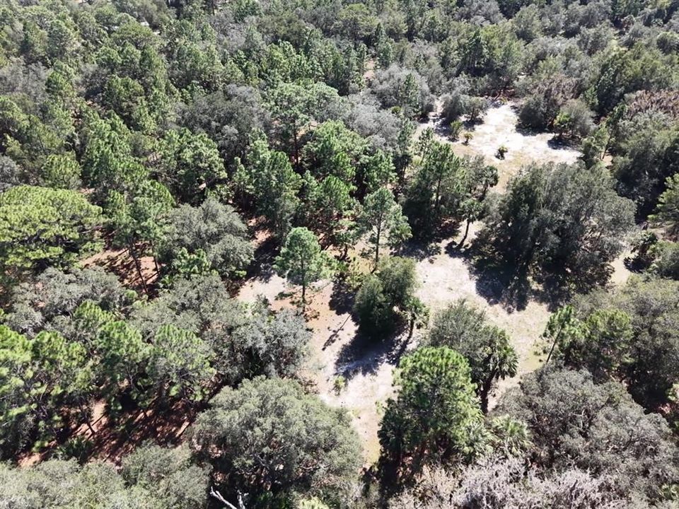 For Sale: $124,900 (2.02 acres)