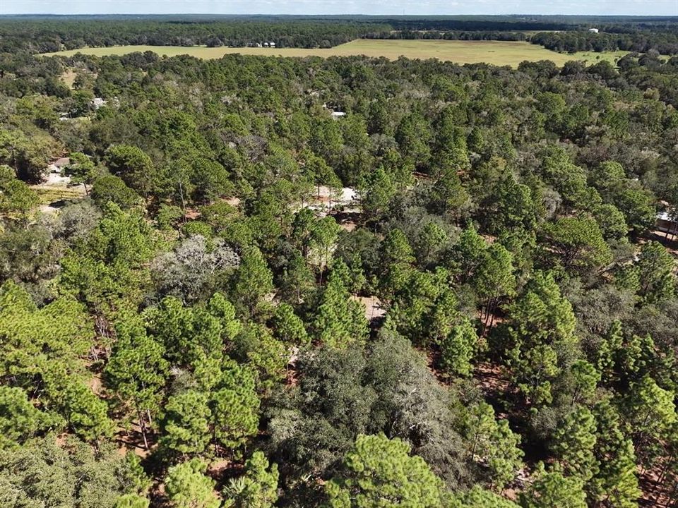 For Sale: $124,900 (2.02 acres)
