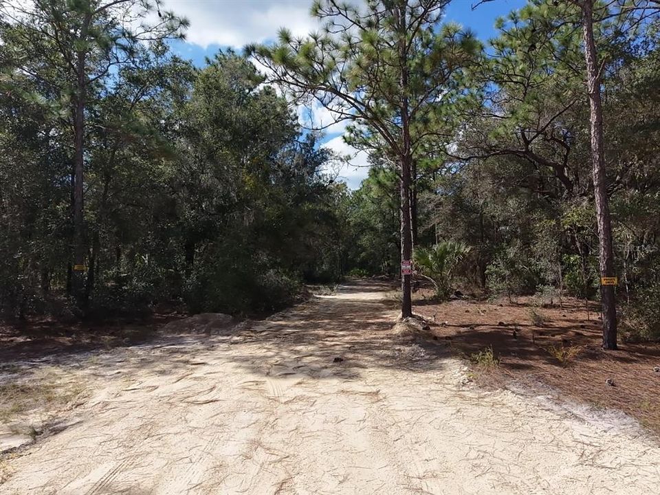 For Sale: $124,900 (2.02 acres)