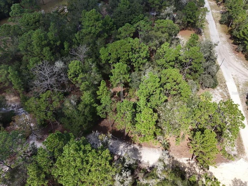For Sale: $124,900 (2.02 acres)