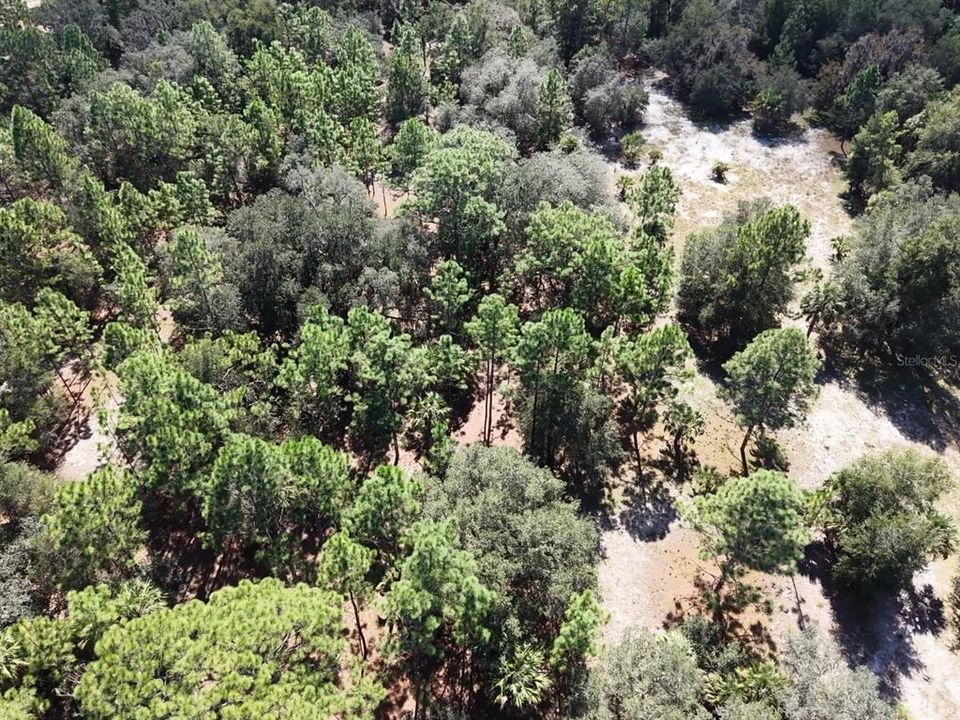 For Sale: $124,900 (2.02 acres)