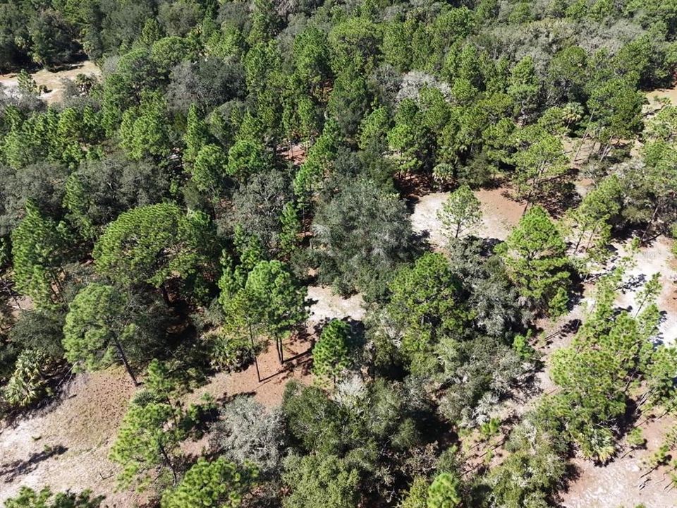 For Sale: $124,900 (2.02 acres)