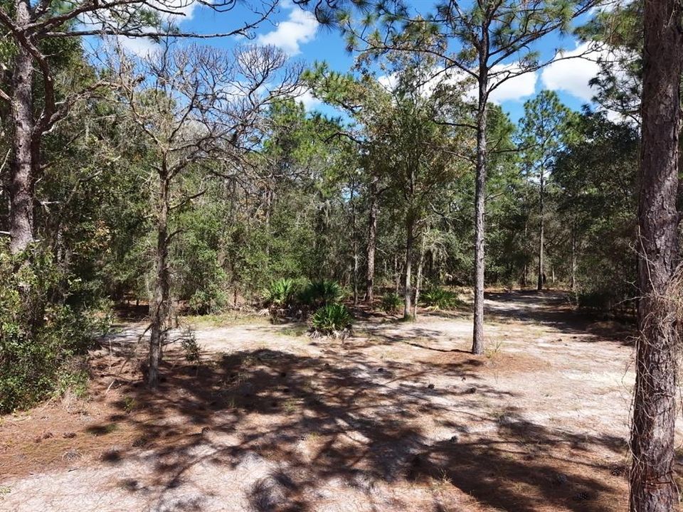 For Sale: $124,900 (2.02 acres)