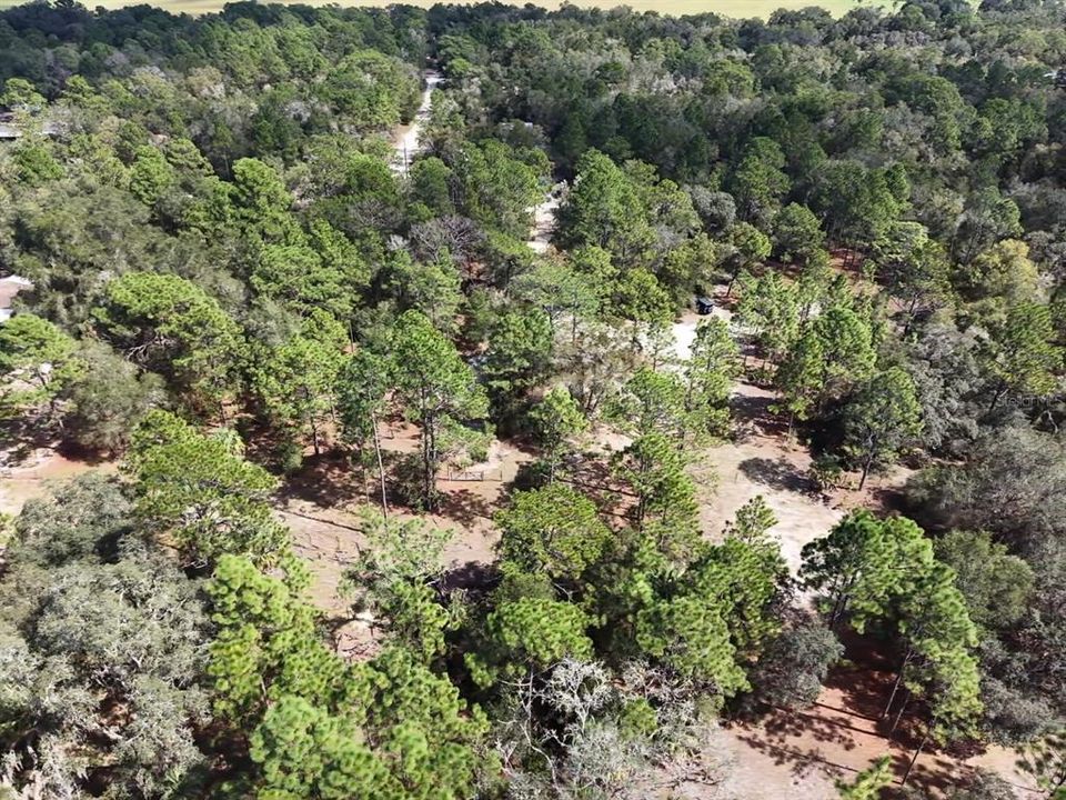 For Sale: $124,900 (2.02 acres)