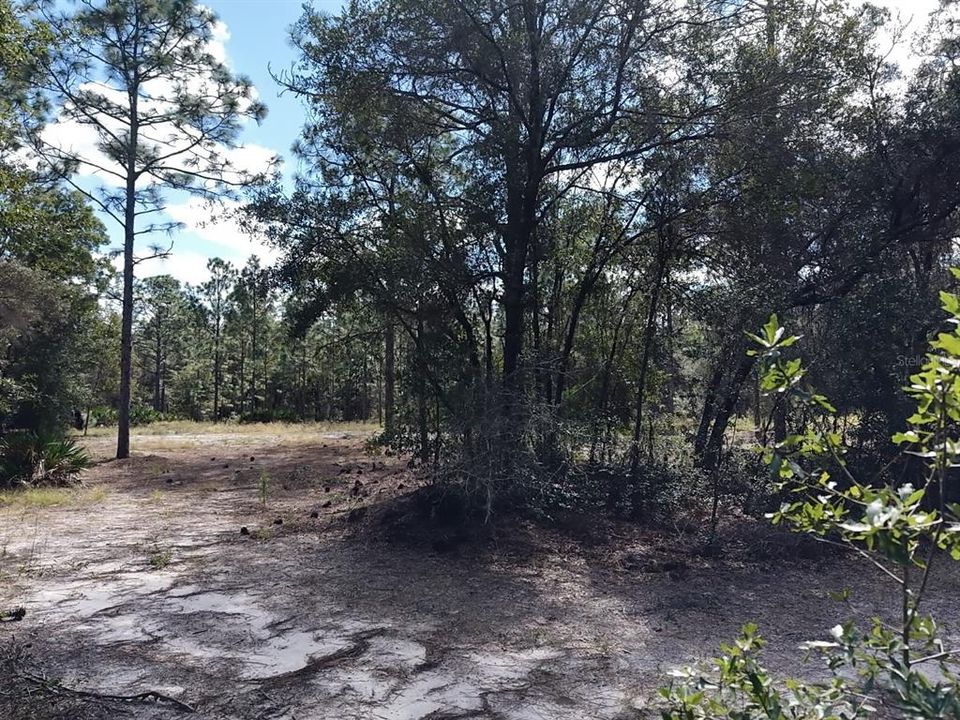For Sale: $124,900 (2.02 acres)