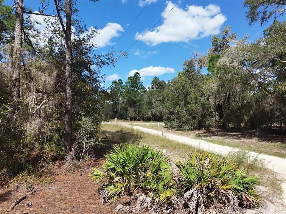 For Sale: $124,900 (2.02 acres)