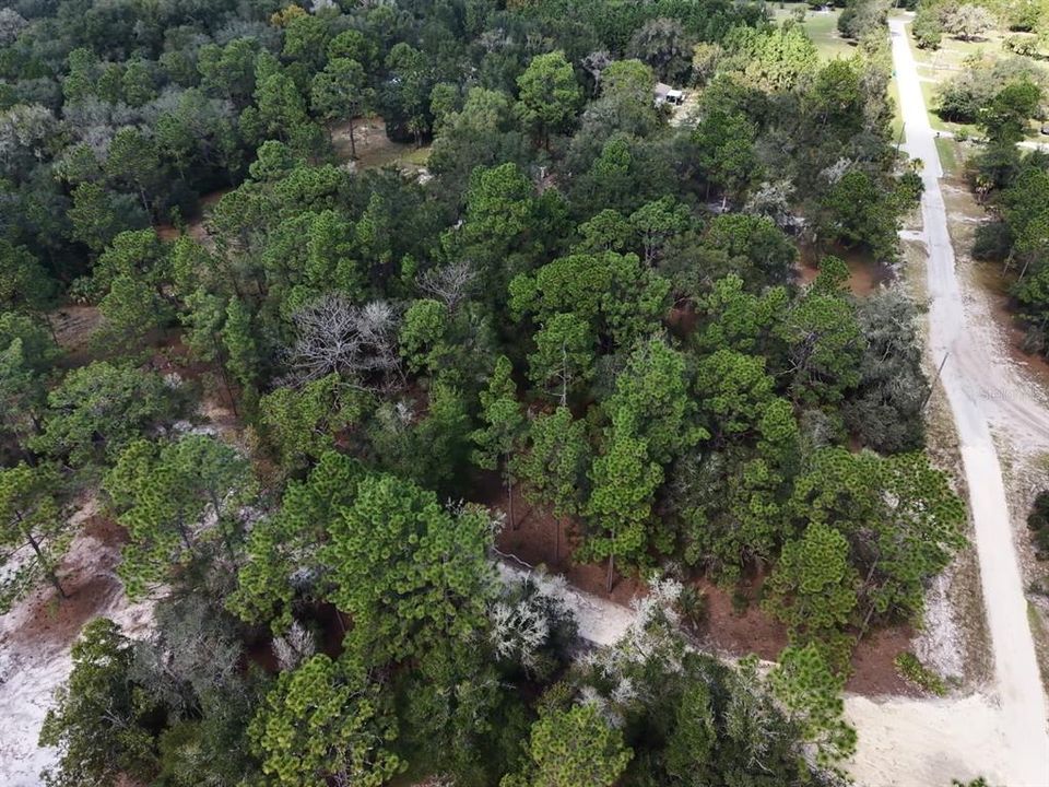 For Sale: $124,900 (2.02 acres)