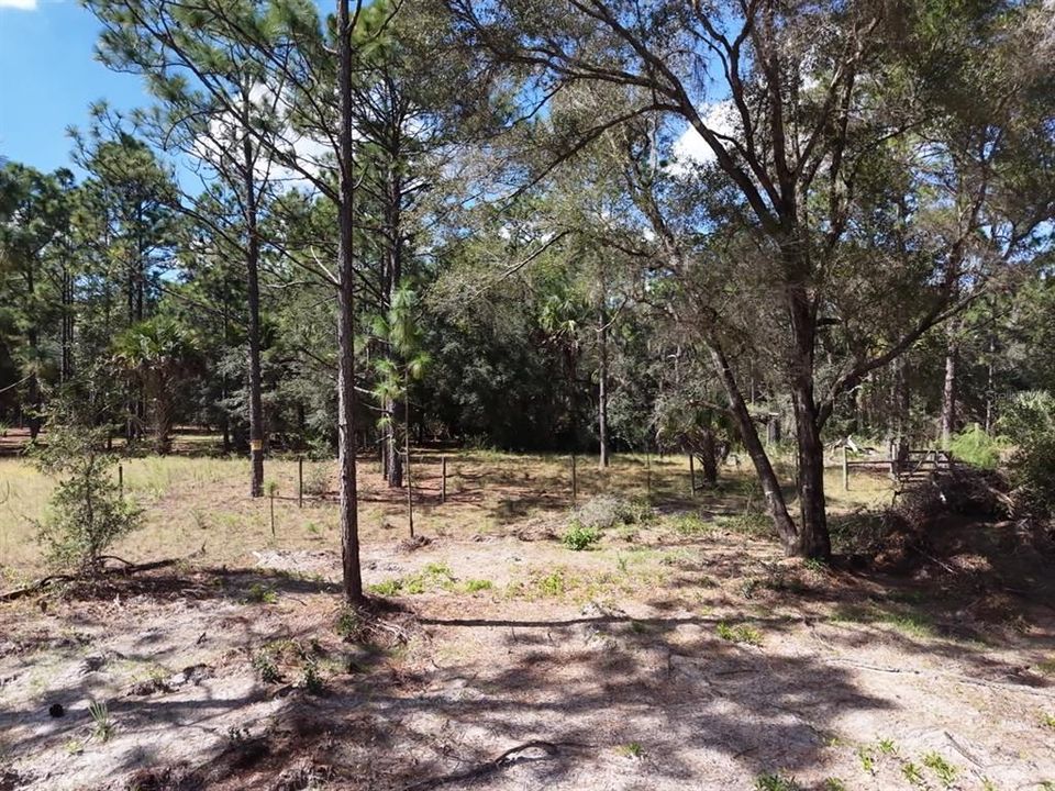 For Sale: $124,900 (2.02 acres)