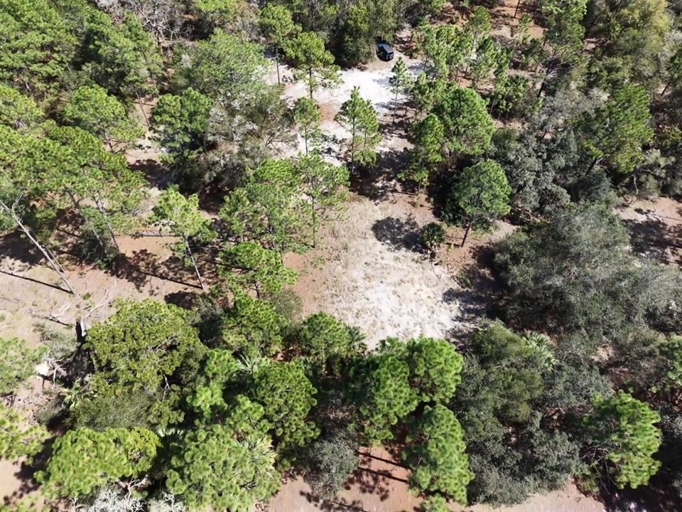 For Sale: $124,900 (2.02 acres)